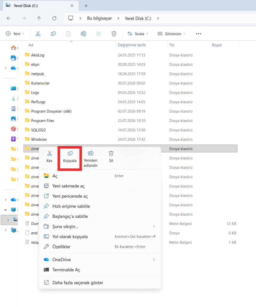 image-101-853x1024 Nasıl Yapılır? Zirve Kullanım Kılavuzları  Zirve yedekleme Zirve yedekleme yedek kopyalama drive 