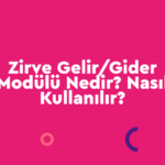 Gelir-Gider-150x150 e-Fatura Zirve Kullanım Kılavuzları  Zirve Yazılım E-Fatura zirve yazılım elektronik fatura eirsaliye efatura edönüşüm earsiv e-irsaliye e-fatura e-dönüşüm dijital dönüşüm 